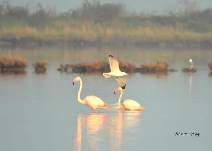 酒店 Eldorado, Depandance & 3*