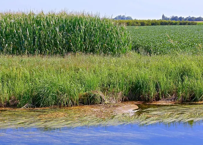 Eldorado, Depandance & 酒店 格拉多