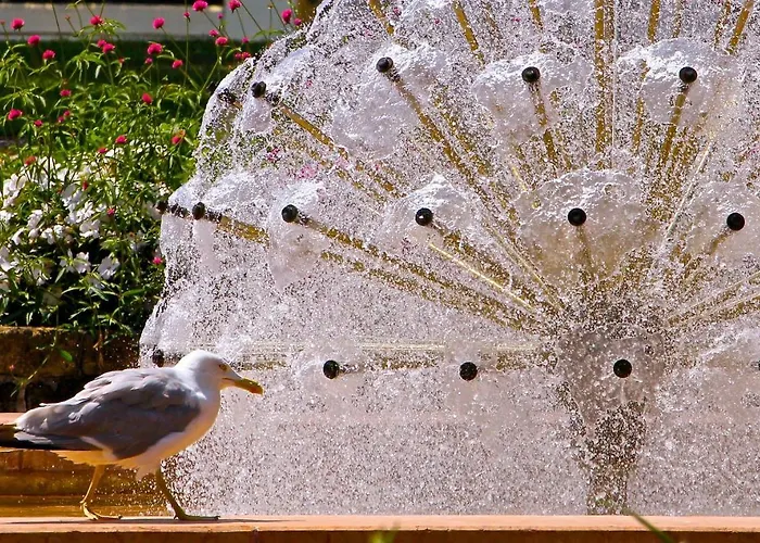 酒店 Eldorado, Depandance & 格拉多