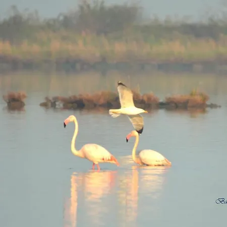 Hotel Eldorado, Depandance & 3*