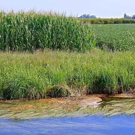 Eldorado, Depandance & Hotel Grado